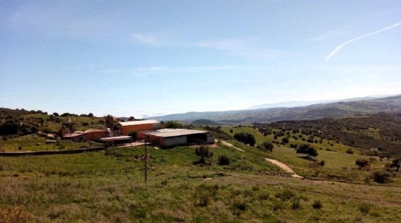 Málaga - Casares - 500000m2