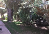 Chalet independiente con terreno en venta en la España, Murcia, ref: TR139032 foto