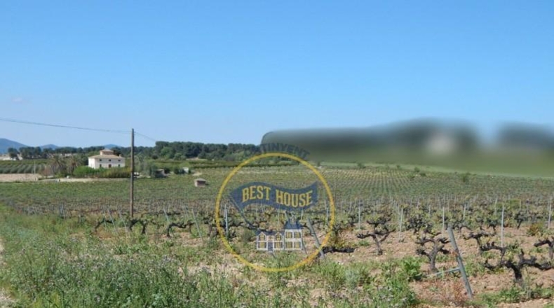 Valencia - Onteniente - 86500m2