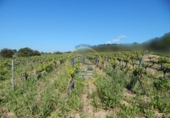 Xalet independent amb terreny en venda a la España, Ontinyent, ref.: TR139967 foto