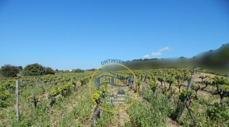 Valencia - Onteniente - 86500m2