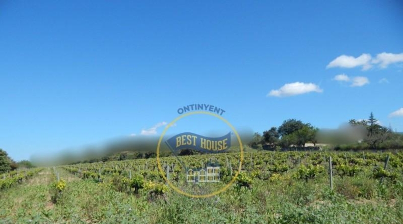 Valencia - Onteniente - 86500m2