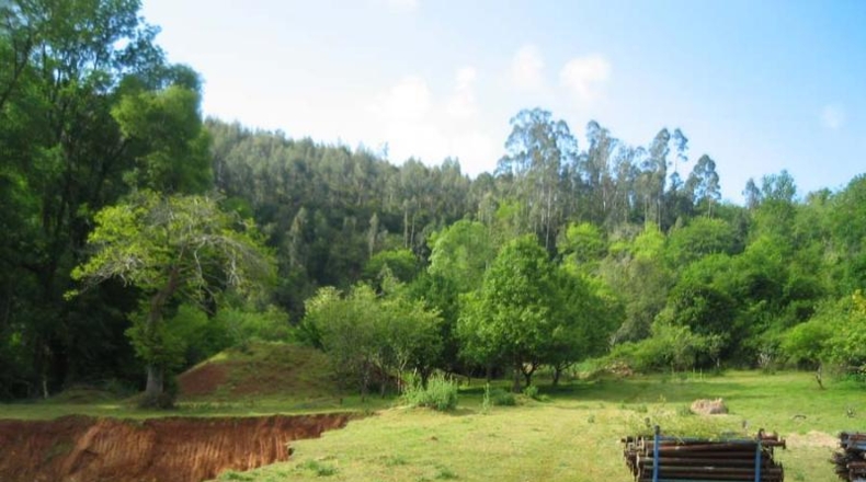 Cantàbria - Novales - 3642m2