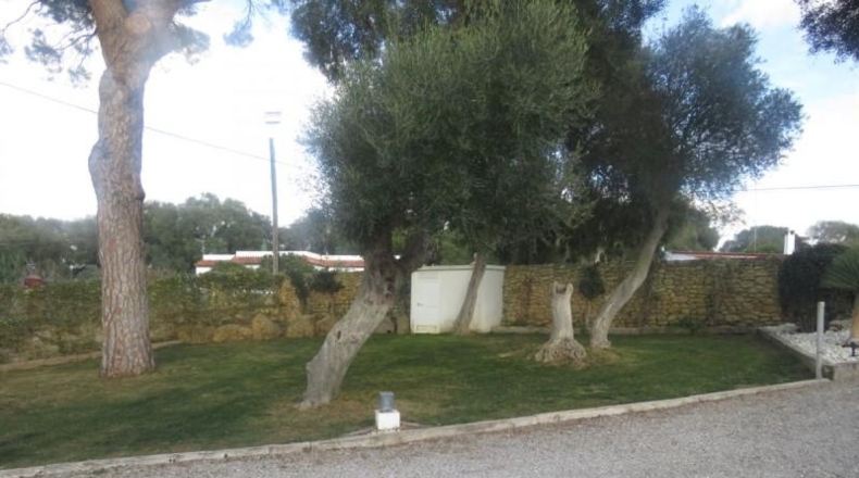 Cádiz - Vejer de la Frontera - 10340m2