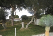Отдельно стоящий дом с участком на продажу в городе Vejer de la Frontera Фото