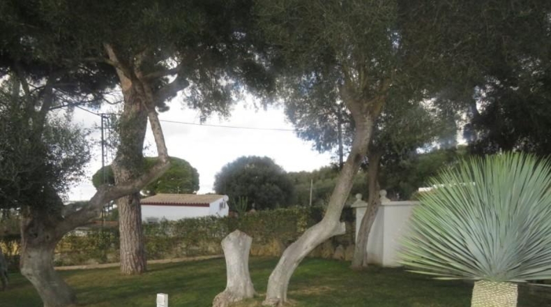 Cádiz - Vejer de la Frontera - 10340m2