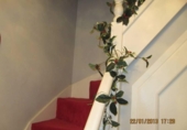 Chalet independiente con terreno en venta en la España, Monóvar, ref: TR146010 foto