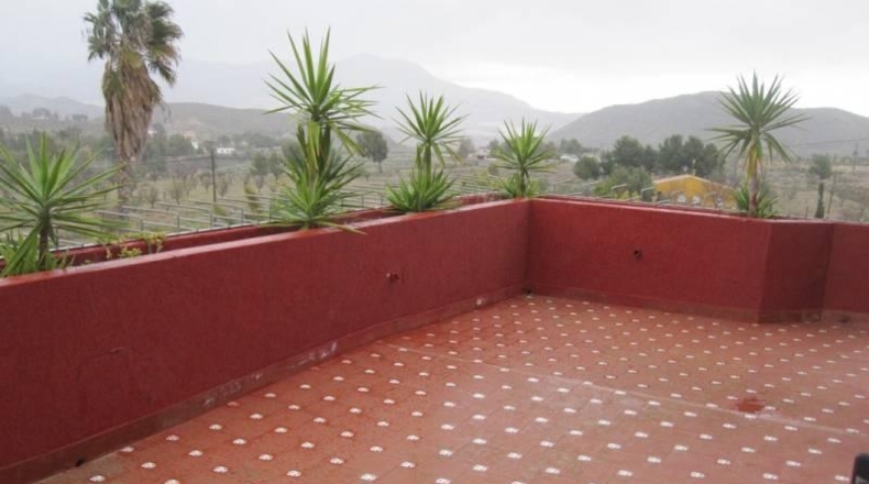 Alicante - Monóvar - 4000m2