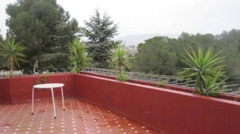 Alicante - Monóvar - 4000m2