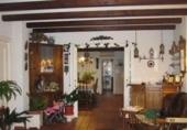 Chalet independiente con terreno en venta en la España, Monóvar, ref: TR146010 foto