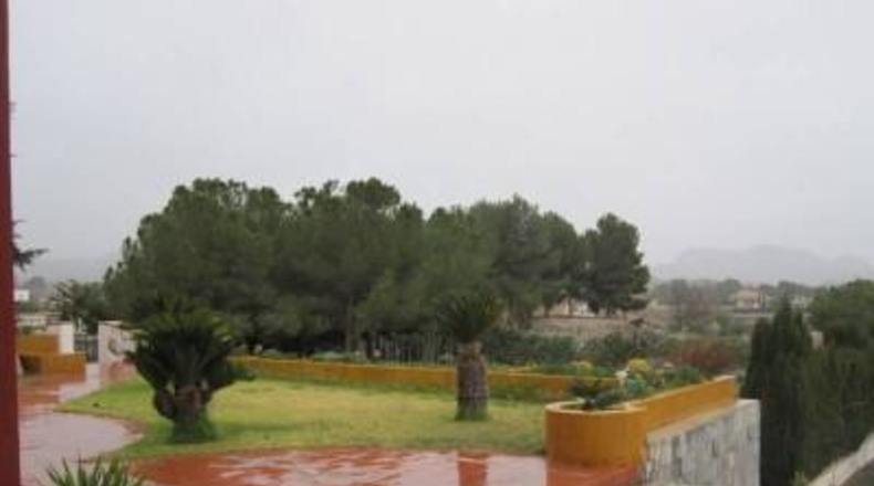 Alicante - Monóvar - 4000m2