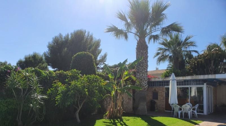 Alicante - Benidorm - 1050m2