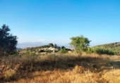 Non-developable land for sale on España, Lorca, ref: TR120783 photo