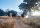 Non-developable land for sale on España, Lorca, ref: TR120783 photo