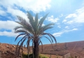 Casa de camp amb terreny en venda a la España, San Bartolomé de Tirajana, ref.: TR112461 foto