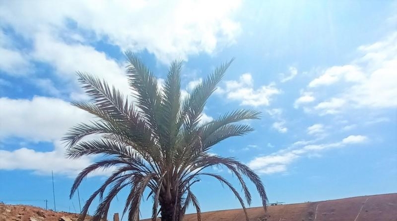 Las Palmas - San Bartolomé de Tirajana - 30000m2