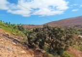 Casa de camp amb terreny en venda a la España, San Bartolomé de Tirajana, ref.: TR112461 foto