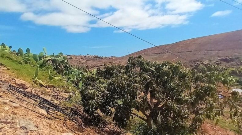 Las Palmas - San Bartolomé de Tirajana - 30000m2