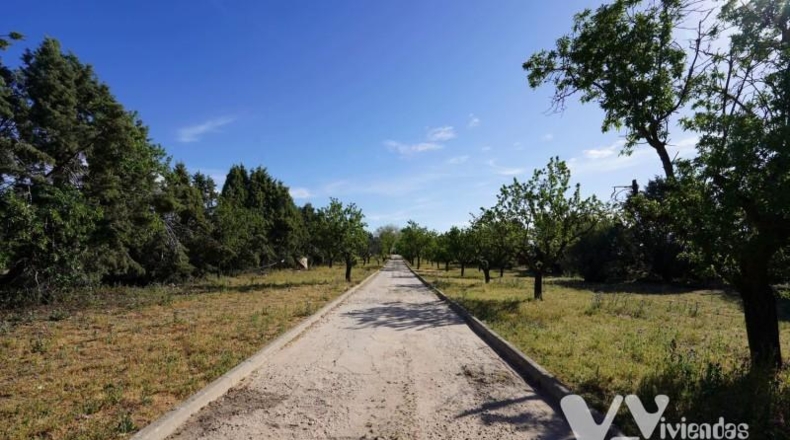 Toledo - Illescas - 6578m2