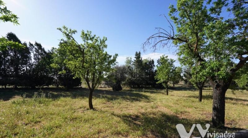 Toledo - Illescas - 6578m2