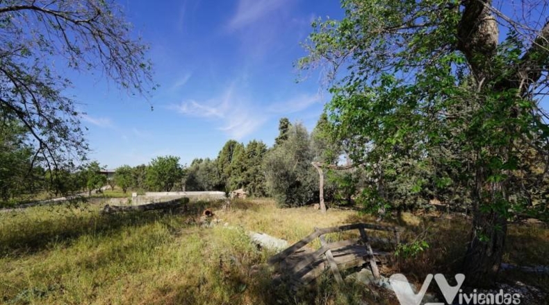 Toledo - Illescas - 6578m2