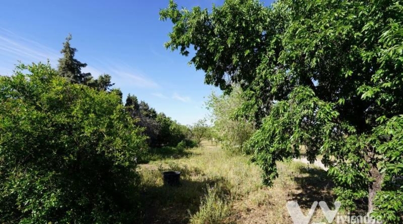 Toledo - Illescas - 6578m2