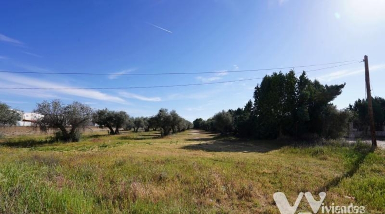 Toledo - Illescas - 6578m2