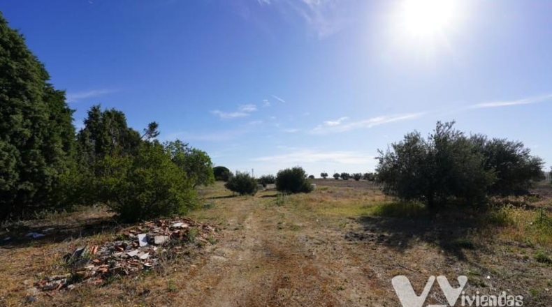 Toledo - Illescas - 6578m2