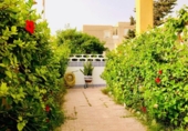 Chalet independiente con terreno en venta en la España, Guardamar del Segura, ref: TR148848 foto