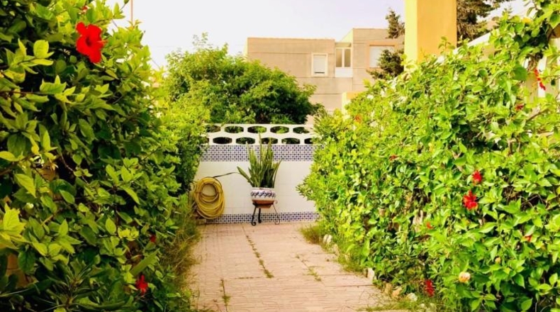 Alicante - Guardamar del Segura - 450m2