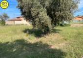 Участок с постройкой на продажу в городе l'Ametlla del Vallès Фото