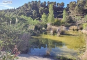 Земля на продажу у города Torremanzanas Фото