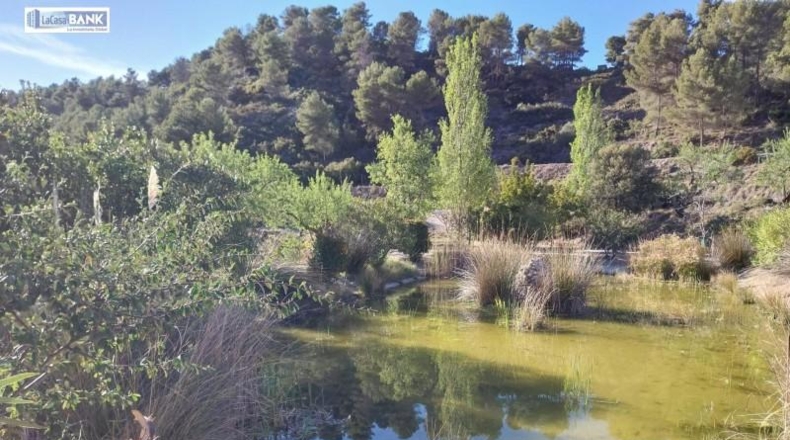 Alicante - Torremanzanas - 500000m2