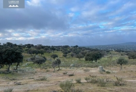 La Haba 1500000&nbsp;m² 