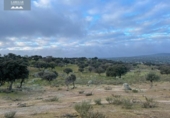 Terreny no urbanitzable en venda a la España, La Haba, ref.: TR126179 foto