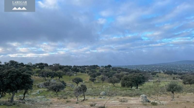 Badajoz - La Haba - 1500000m2