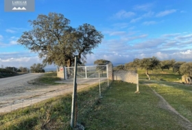 La Haba 1500000&nbsp;m² 