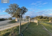 Terreny no urbanitzable en venda a la España, La Haba, ref.: TR126179 foto