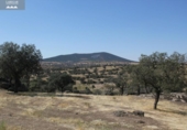 Terreny no urbanitzable en venda a la España, La Haba, ref.: TR126179 foto