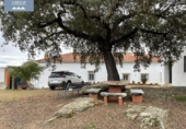Terreny no urbanitzable en venda a la España, La Haba, ref.: TR126179 foto