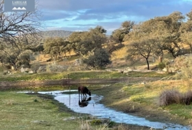 La Haba 1500000&nbsp;m² 