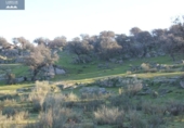 Terreny no urbanitzable en venda a la España, La Haba, ref.: TR126179 foto