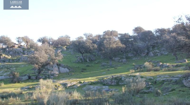 Badajoz - La Haba - 1500000m2