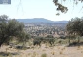 Terreny no urbanitzable en venda a la España, La Haba, ref.: TR126179 foto