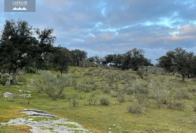 La Haba 1500000&nbsp;m² 
