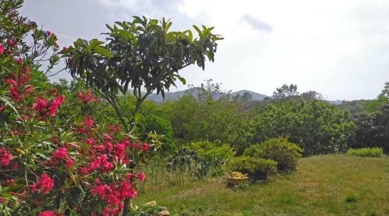 Gerona - Quart - 260000m2