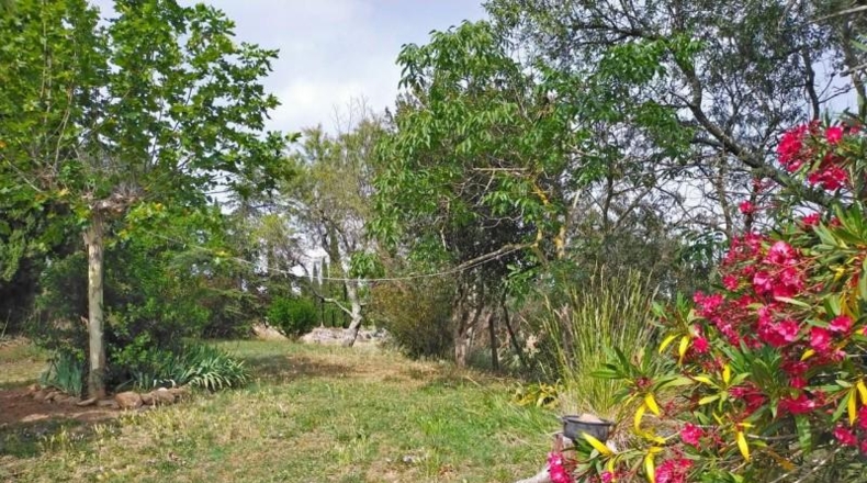 Gerona - Quart - 260000m2