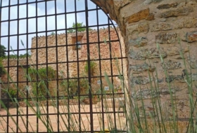 Foto 19