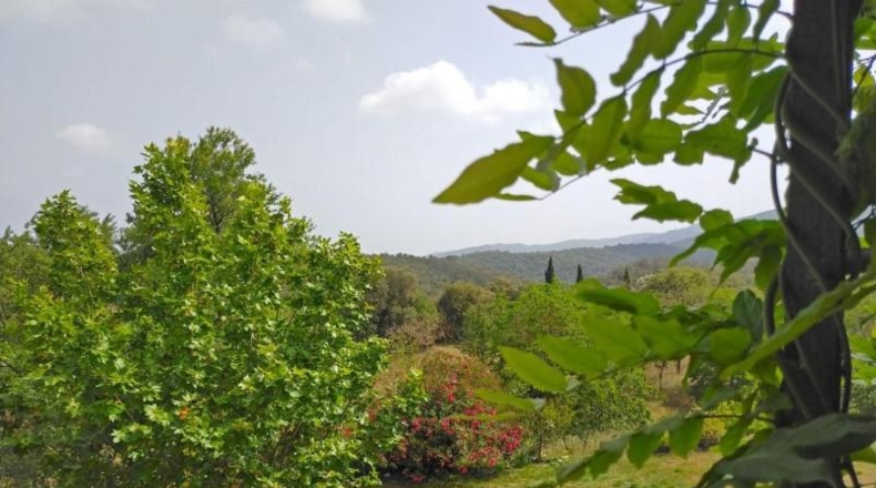 Gerona - Quart - 260000m2