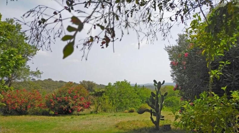 Gerona - Quart - 260000m2